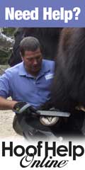 Hoof Help Online The Best in Barefoot for Your Horse